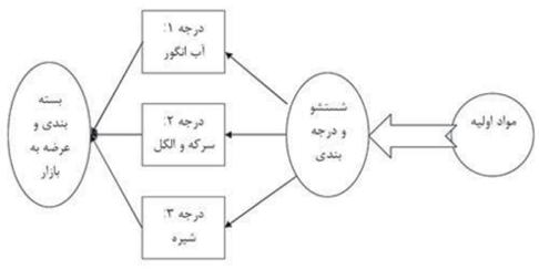 فرآیند کلی تولید فرآوردههای انگور